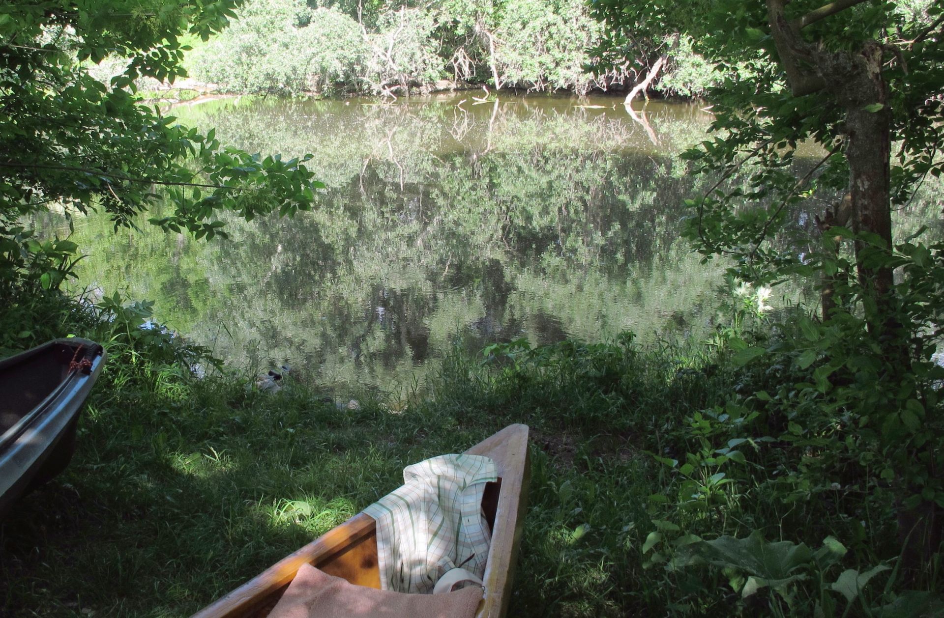 Jarná plavba lužným lesom